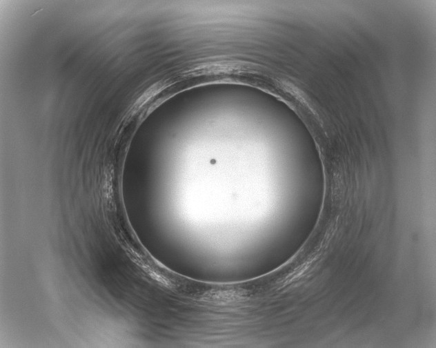 X0000059840778200510241436