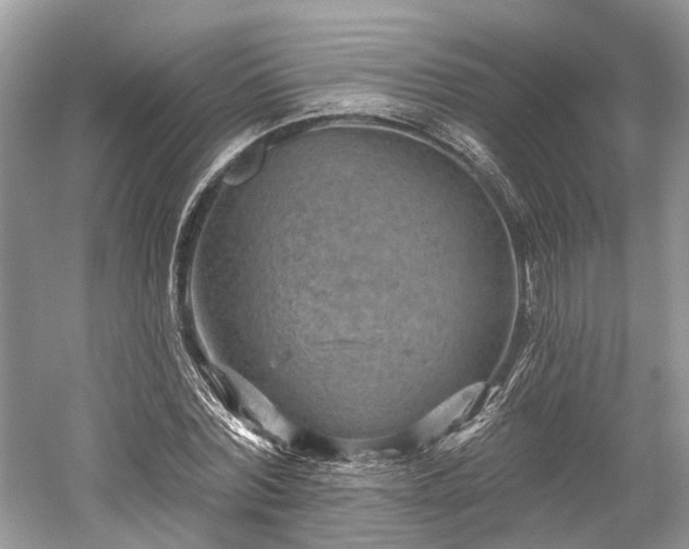 X0000059840780200510241436