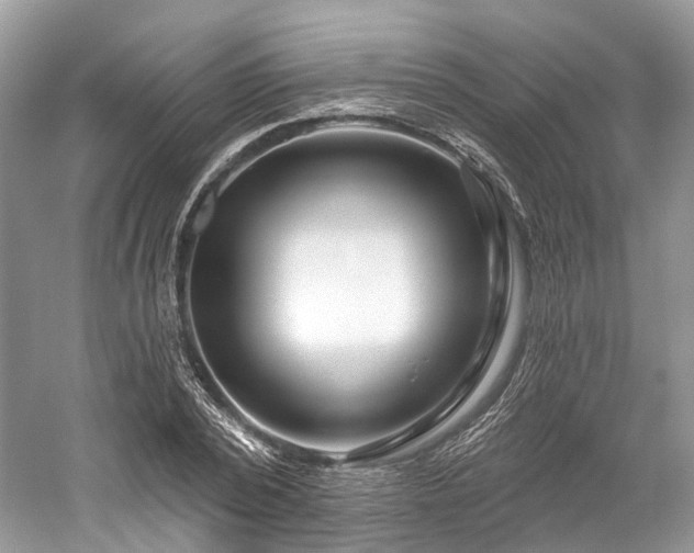 X0000059840784200510241436