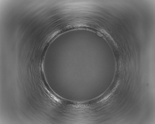 X0000059840785200510241436