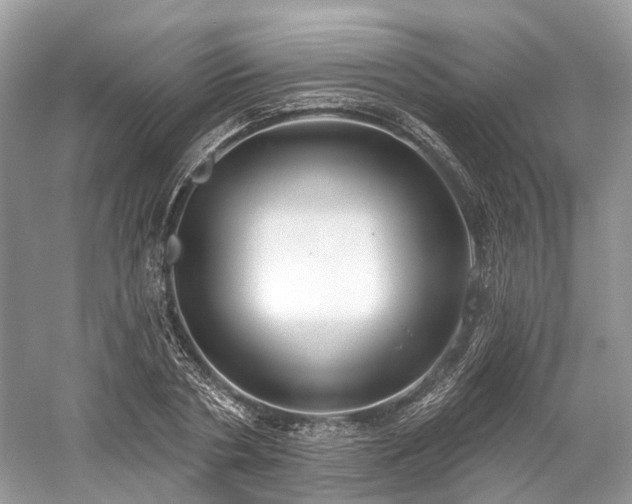 X0000059840786200510241436
