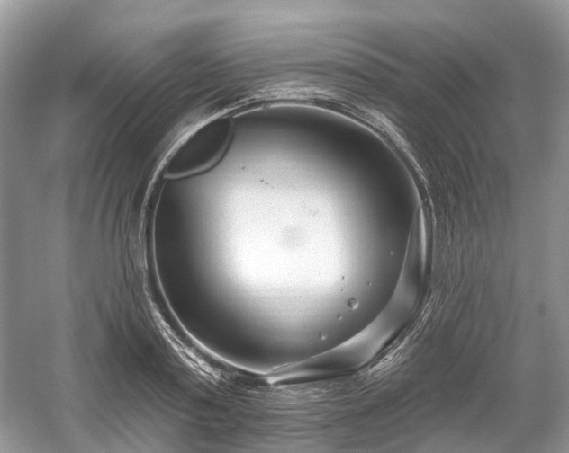 X0000059840795200510241436