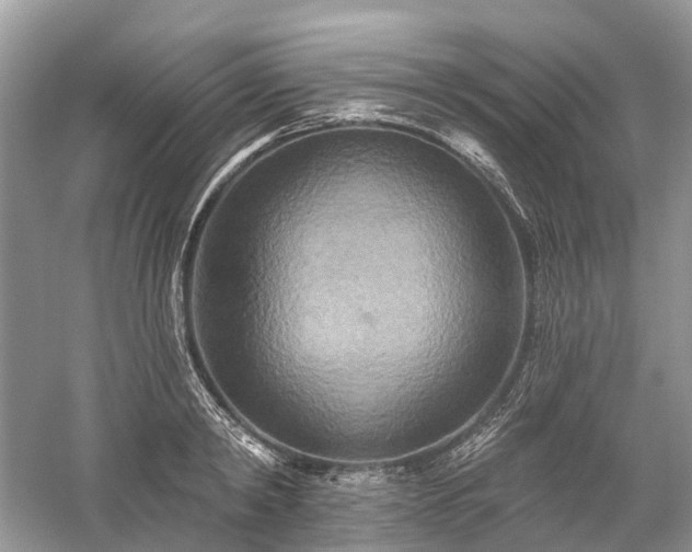 X0000059840798200510241436
