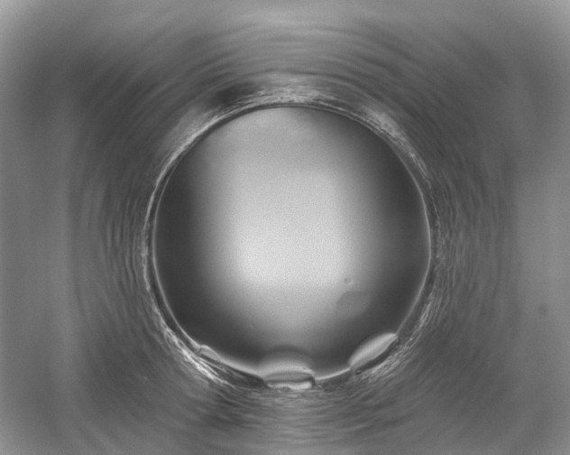 X0000059840802200510241436