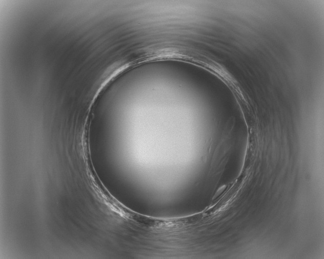 X0000059840806200510241436