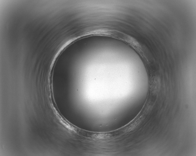 X0000059840808200510241436