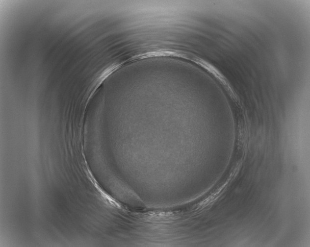 X0000059840809200510241436