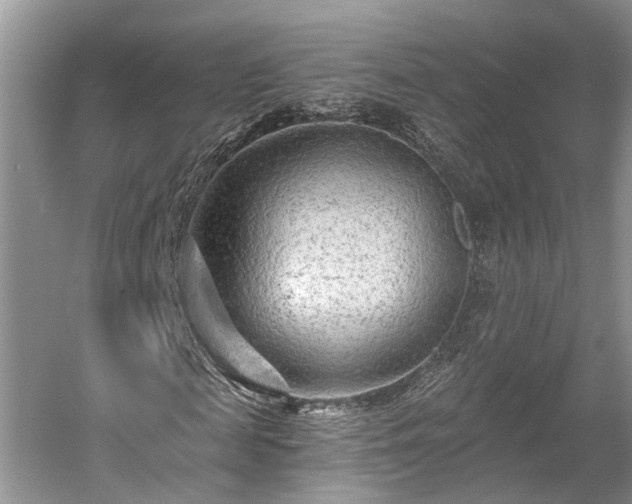 X0000059840817200510241435