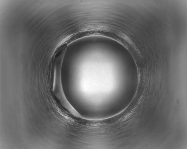 X0000059840826200510241435