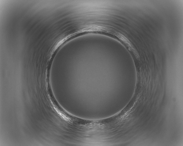 X0000059840842200510241435