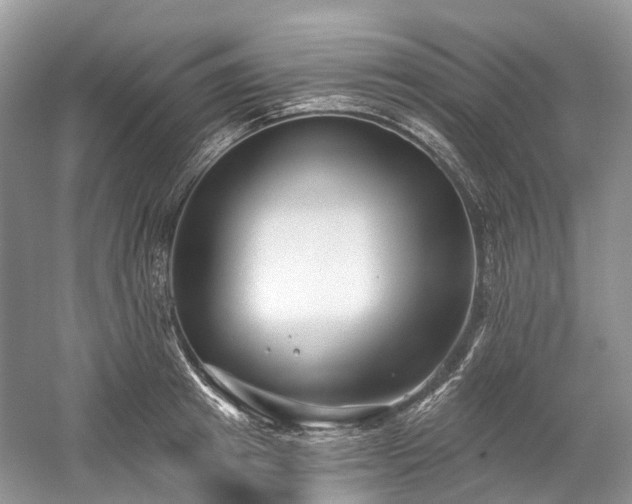 X0000059840849200510241435