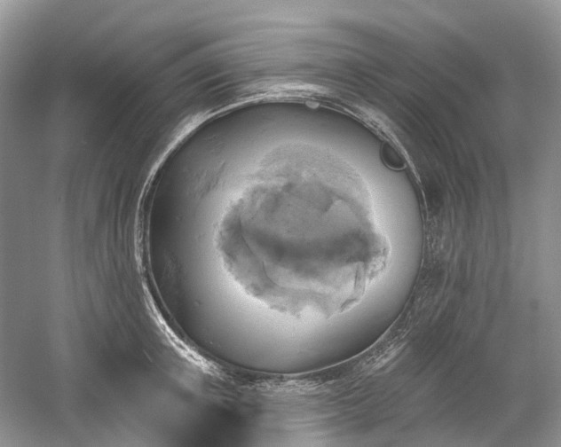 X0000059840851200510241436