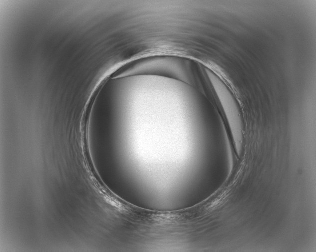 X0000059840854200510241436