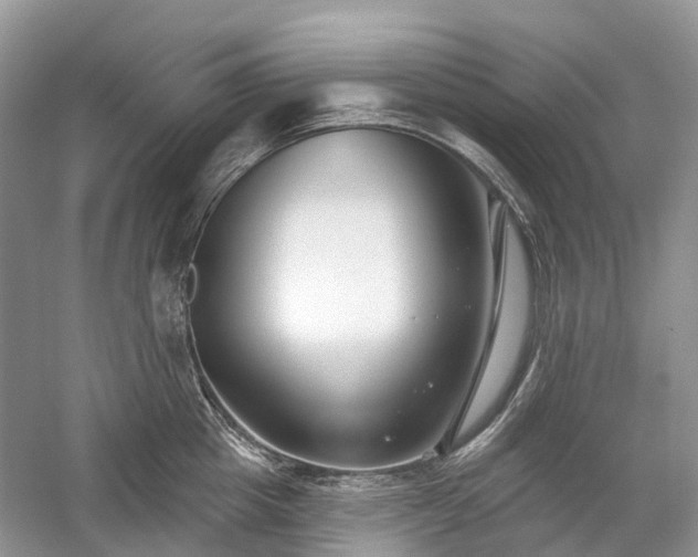 X0000059840857200510241436