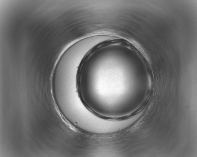 X0000059840862200510241436