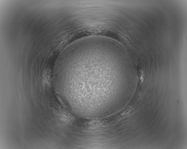X0000059840867200510241435