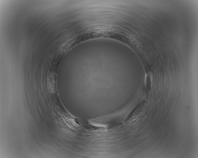 X0000059840868200510241435