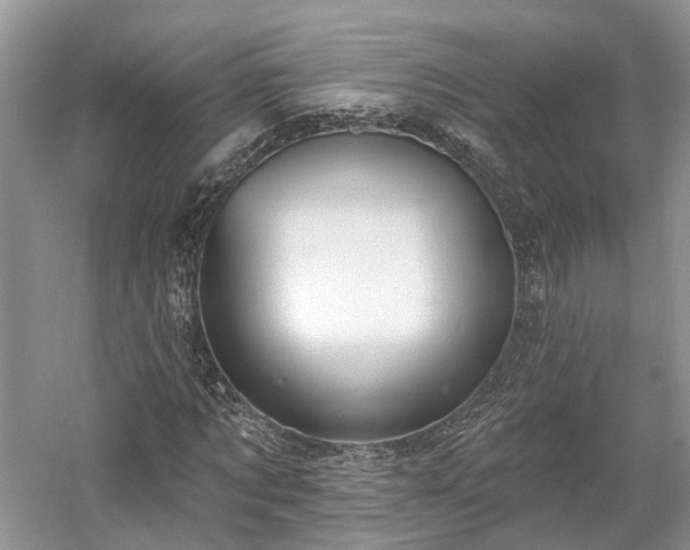 X0000059840869200510241435