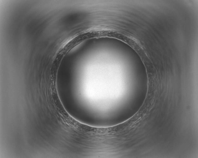 X0000059840871200510241435