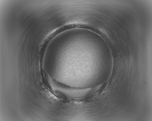 X0000059840872200510241435