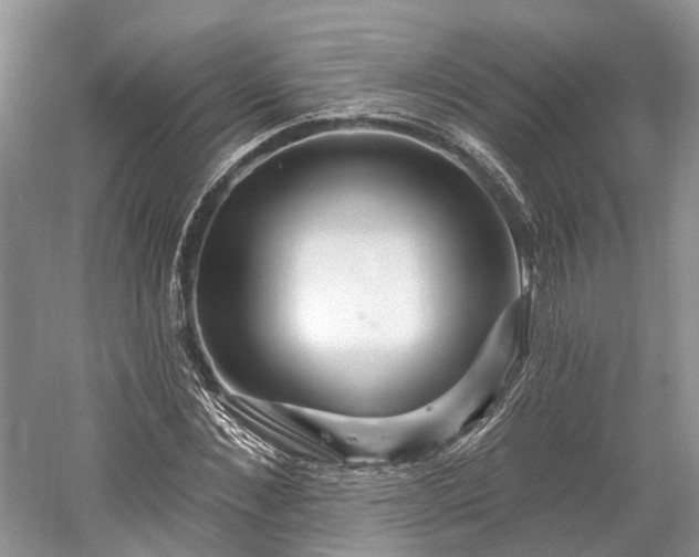 X0000059840876200510241435
