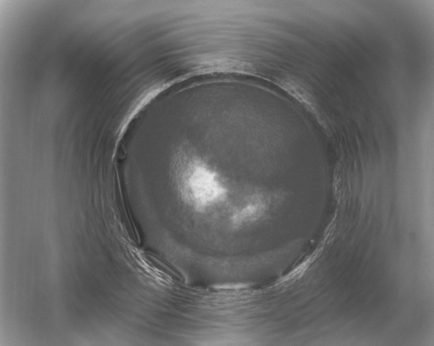 X0000059840877200510241435