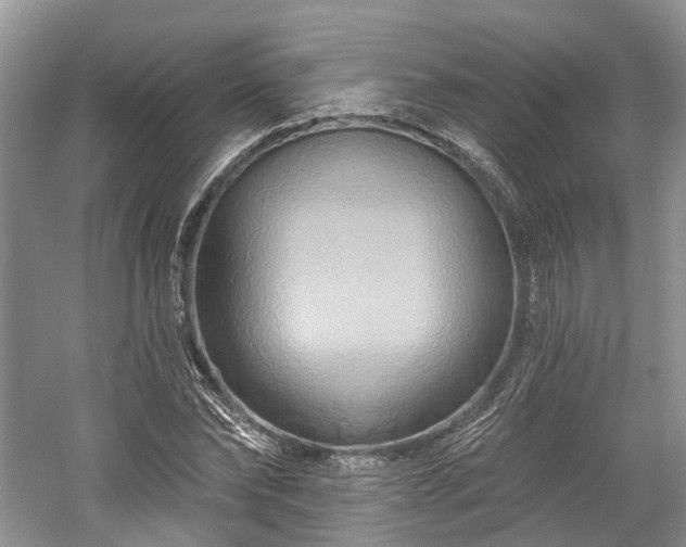 X0000059840878200510241435