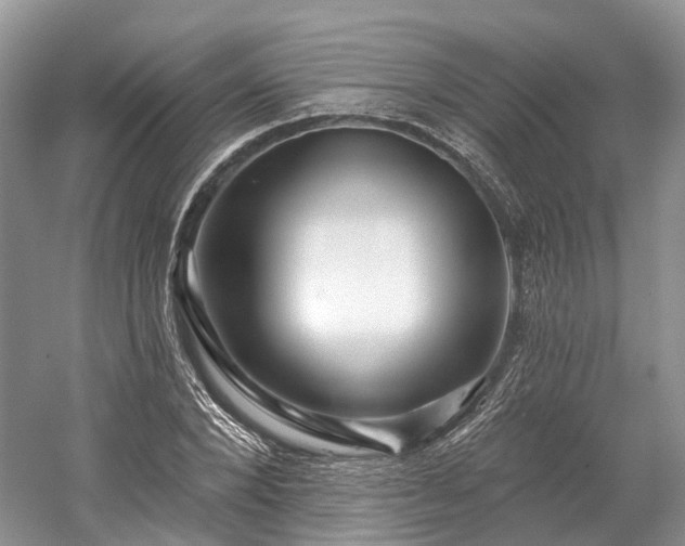 X0000059840880200510241435