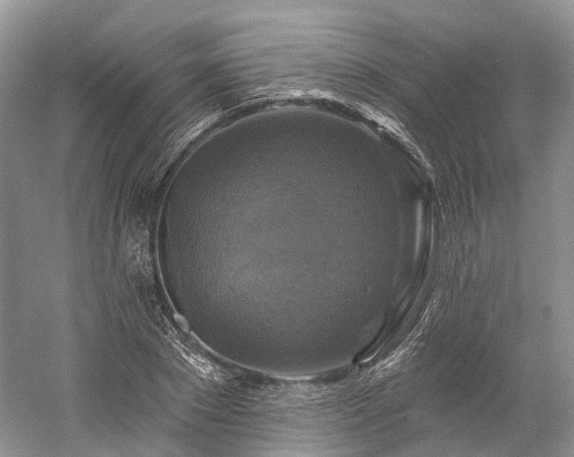 X0000059840881200510241435