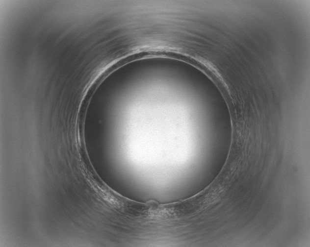 X0000059840887200510241435