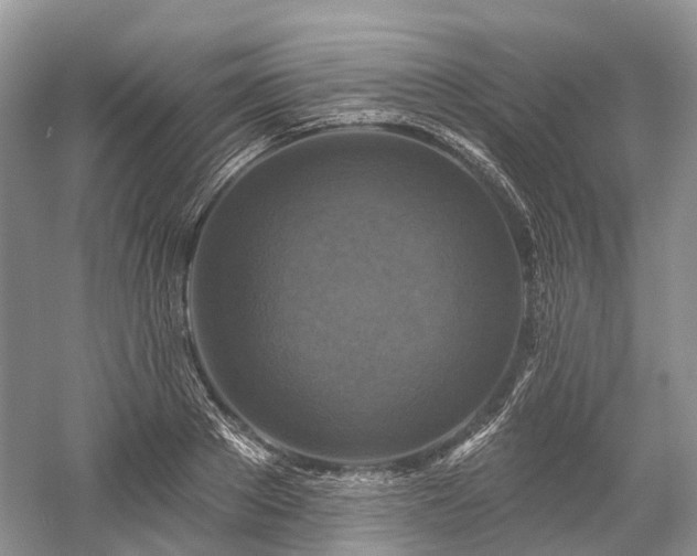 X0000059840889200510241435