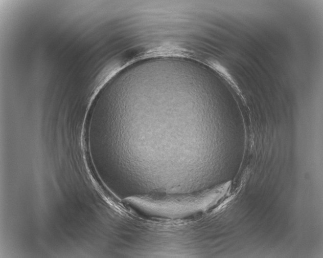 X0000059840893200510241434
