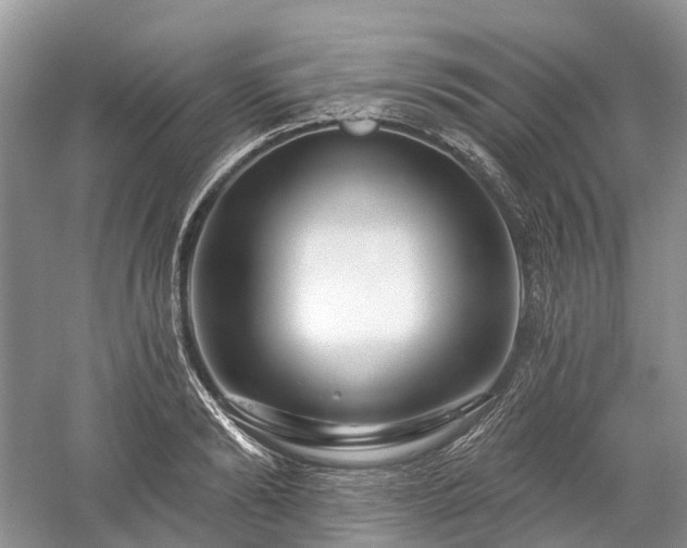 X0000059840894200510241434