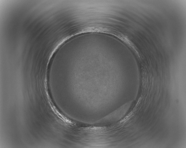 X0000059840896200510241434