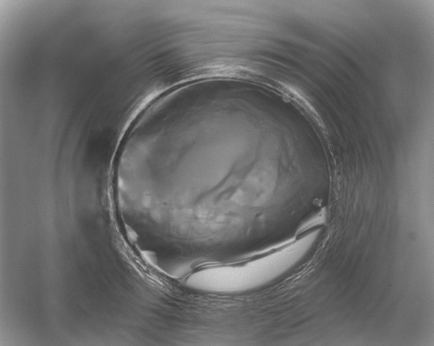 X0000059840899200510241434