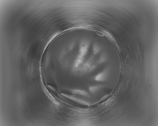 X0000059840907200510241434