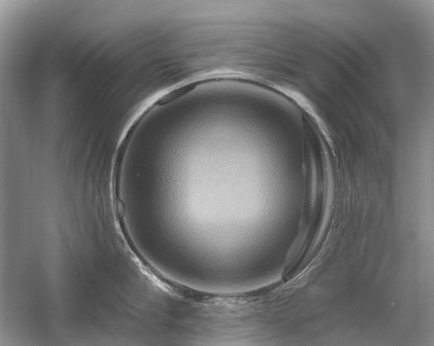 X0000059840910200510241434