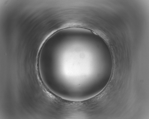 X0000059840912200510241434