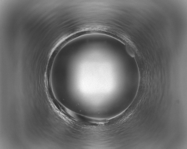 X0000059840936200510241434