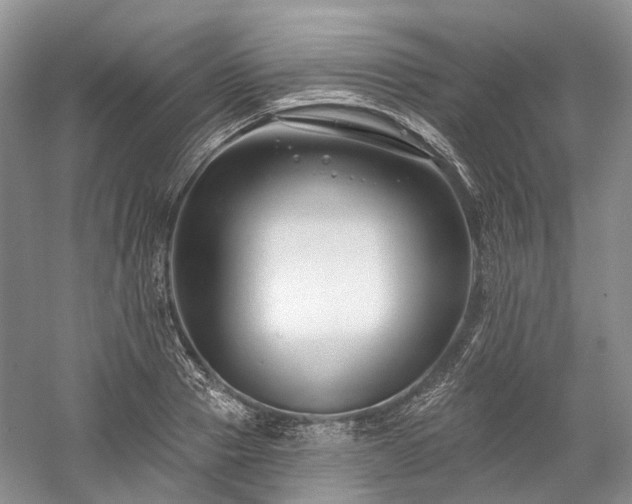 X0000059840937200510241434