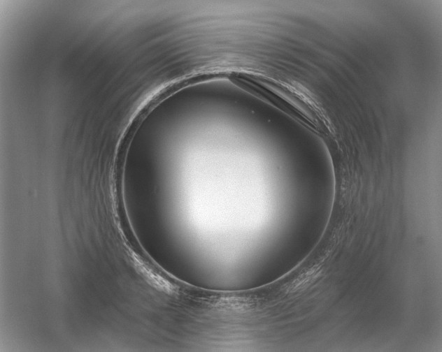 X0000059840942200510241434