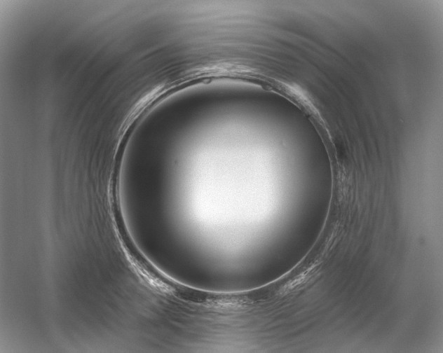 X0000059840946200510241434