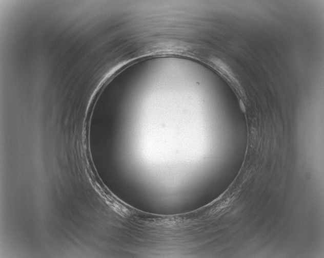X0000059840948200510241434