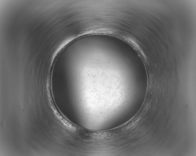 X0000059840952200510241434