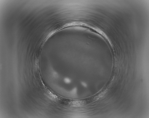 X0000059840953200510241434