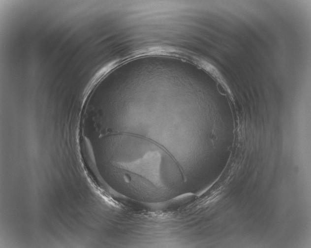 X0000059840954200510241434