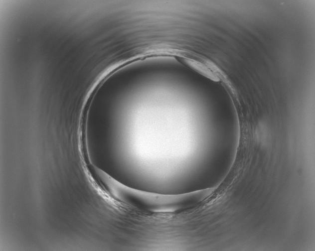 X0000059840955200510241434