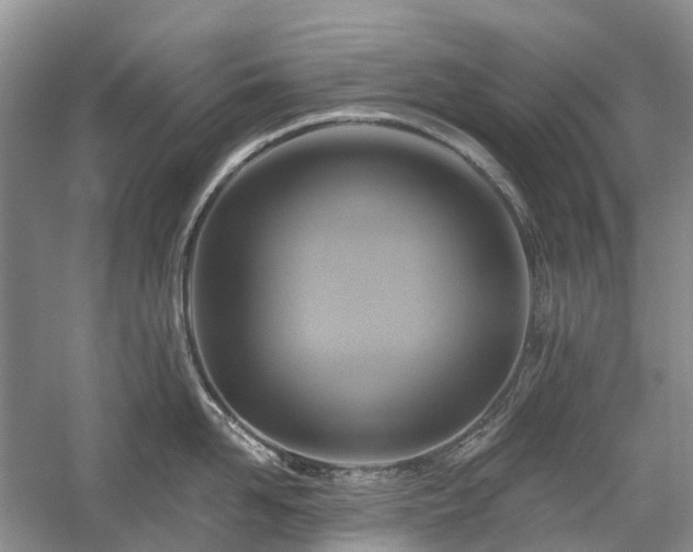 X0000059840958200510241434