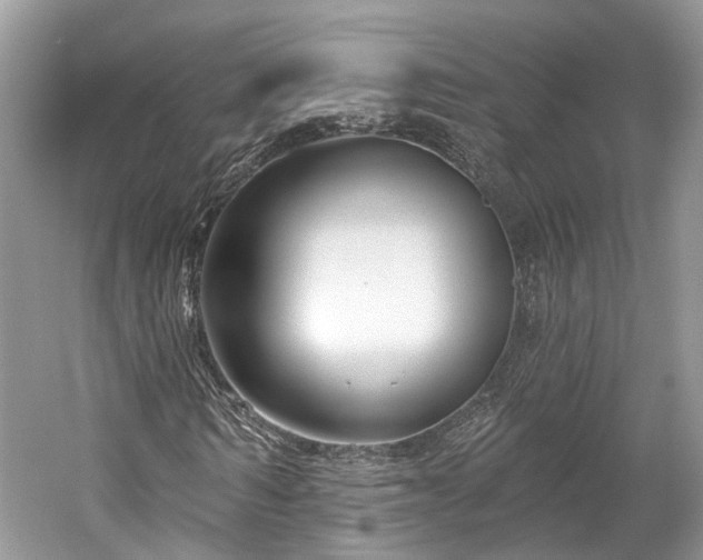 X0000059840962200510241433