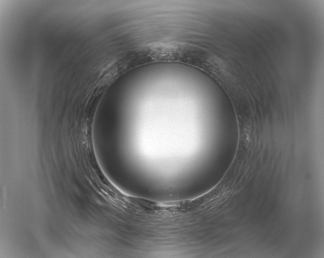 X0000059840964200510241433